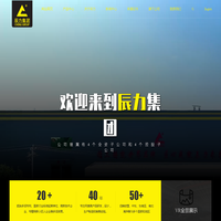 辰力集团有限公司