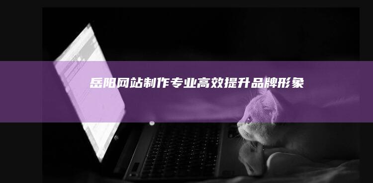 岳阳网站制作：专业、高效、提升品牌形象