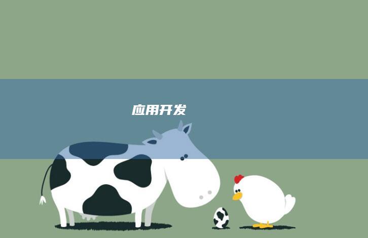 应用开发