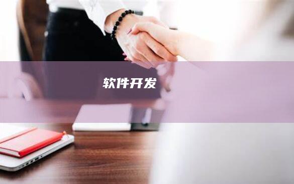 软件开发
