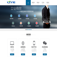 立业软件 - 软件定制/玩具贸易管理软件/玩具仓库管理软件/玩具PMC物控生产管理软件/玩具加工管理软件/印刷管理软件/批发/服装版/医药系列进销存 - 立业软件