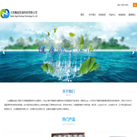 大连精益安诚科技有限公司