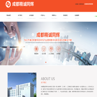 成都精诚同辉科技有限公司